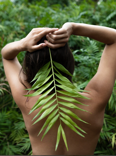 THE 5️⃣ EVIDENCES THAT WILL CONVINCE YOU OF THE POWER OF PLANTS ON YOUR SKIN