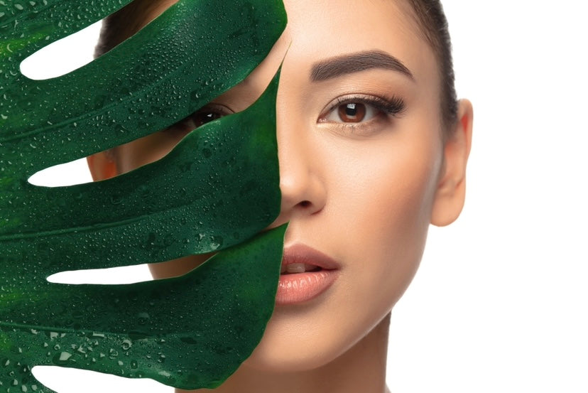 mujer joven morena belleza detrás de una hoja verde plantas fondo blanco