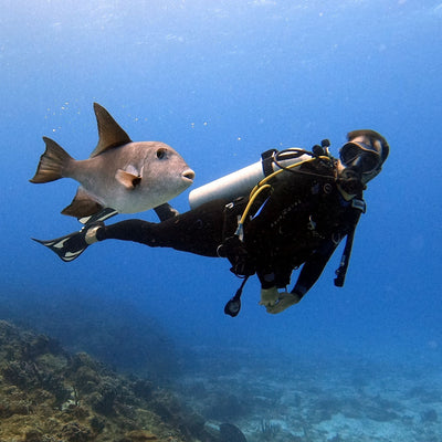 OhMyKoko participates in Marbella's annual seabed cleanup.
